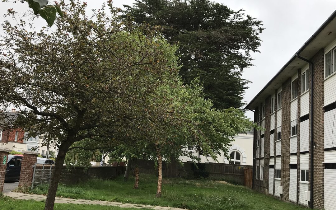 Lyndhurst Road Service Closure