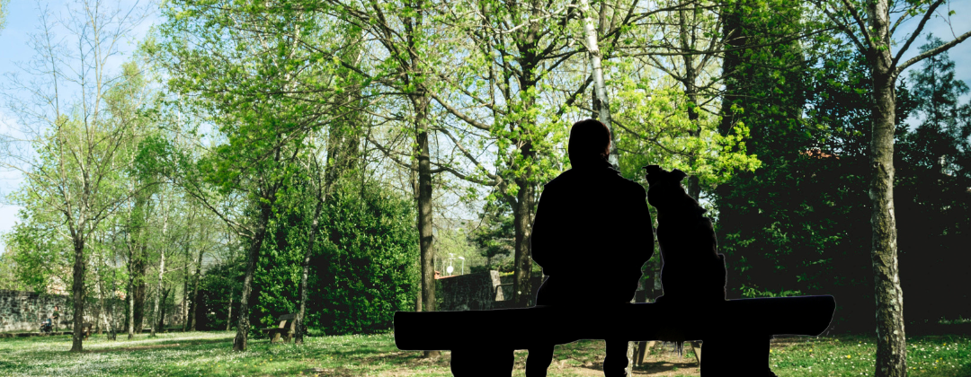 Relief as Government Abandons Proposal to Make Homelessness a Criminal Offense