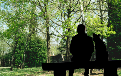 Relief as Government Abandons Proposal to Make Homelessness a Criminal Offense