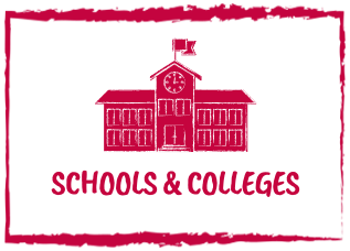 Schools and Colleges