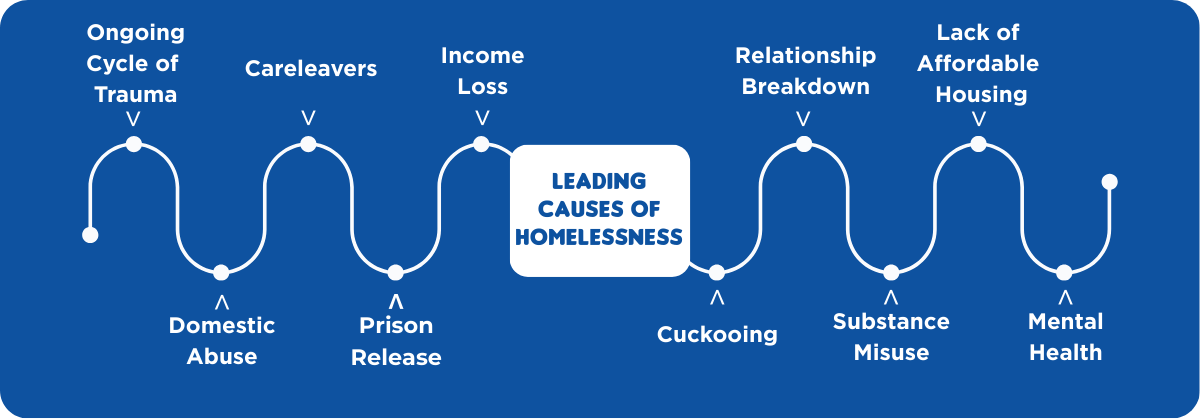 Leading Causes of Homelessness Graphic