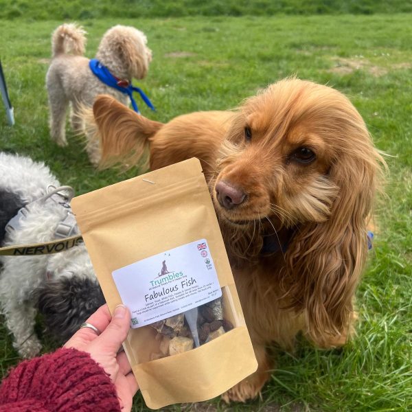 Dog treats 1 bark in park highdown