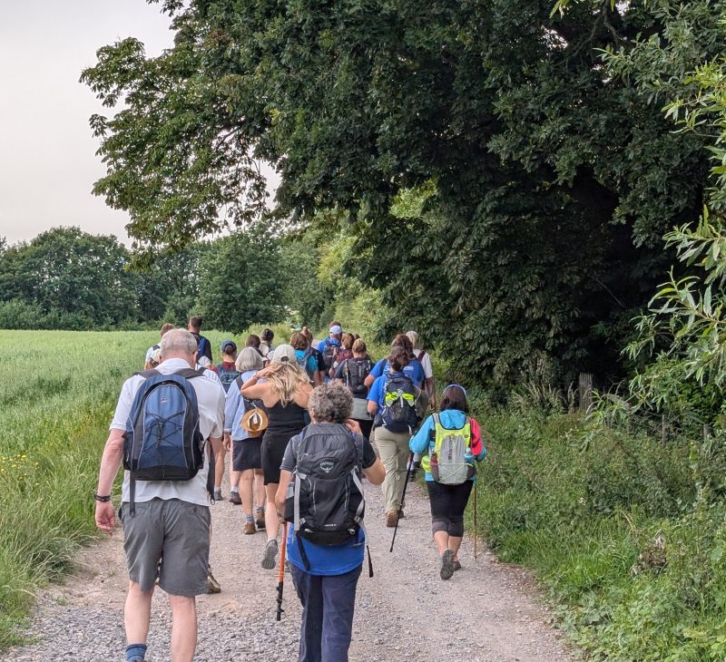 South Downs Way Walk Starts
